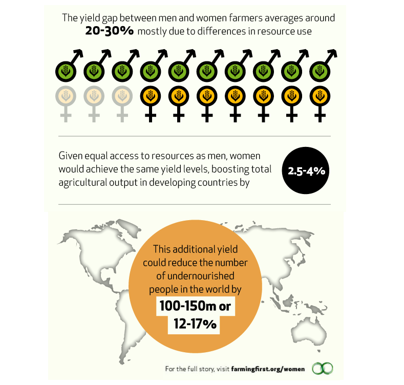 The gender gap in global agriculture Solving for Pattern