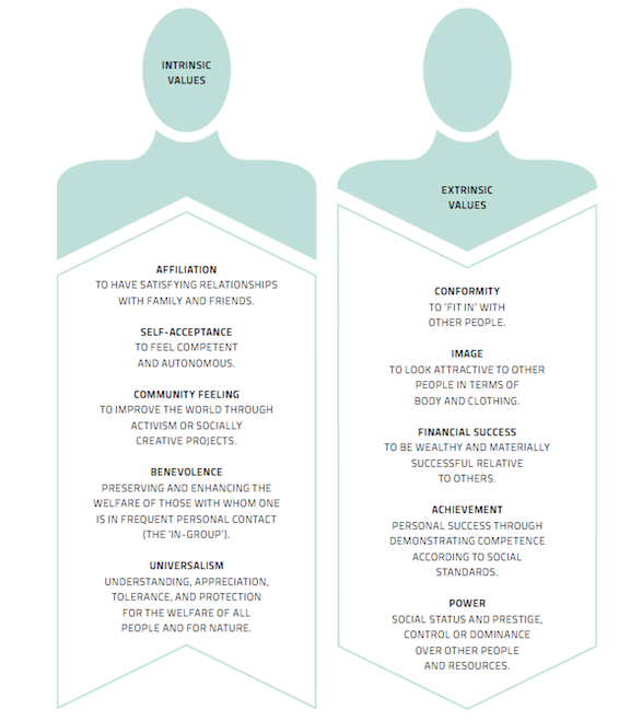 Crowding out Intrinsic And Extrinsic Values Solving For Pattern