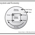 Ecosytem and economy