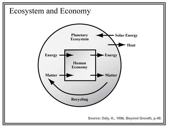 Ecosytem and economy