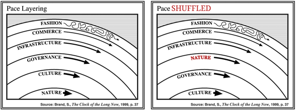 pace layers shuffled
