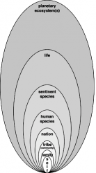 Identity tree