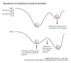 Dynamics of systemic social innovation