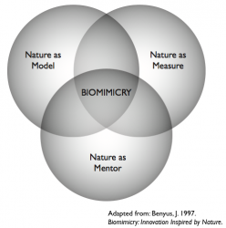 Biomimicry