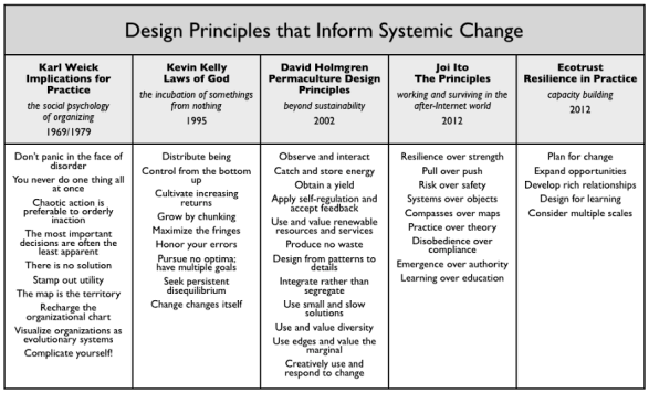 design principles for systemic change